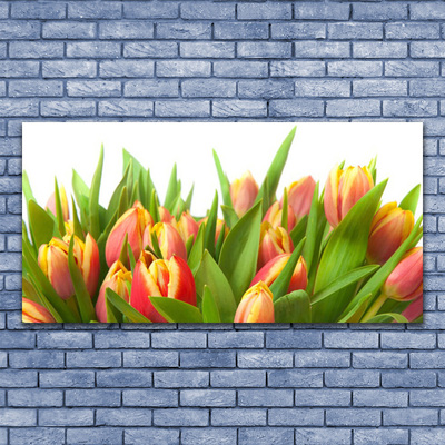 Bild canvas Tulpaner Blommor Plant