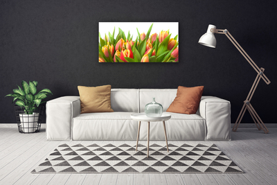 Bild canvas Tulpaner Blommor Plant