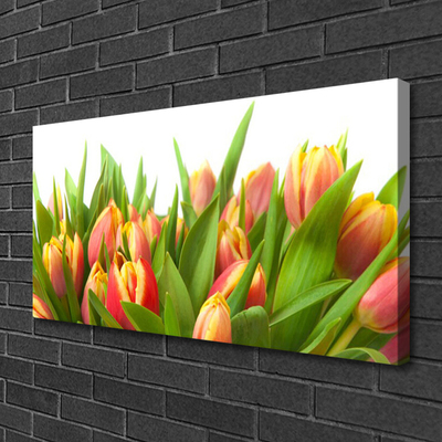 Bild canvas Tulpaner Blommor Plant