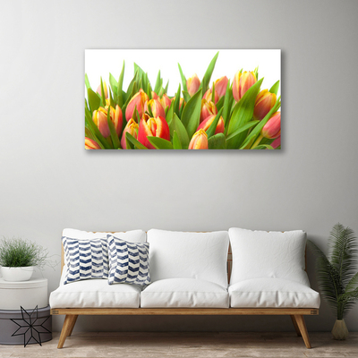 Bild canvas Tulpaner Blommor Plant