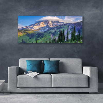 Fototryck canvas Bergskogslandskap Natur