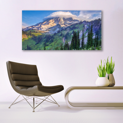 Fototryck canvas Bergskogslandskap Natur