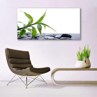 Bild på canvas Leaf Nature Stones Plant