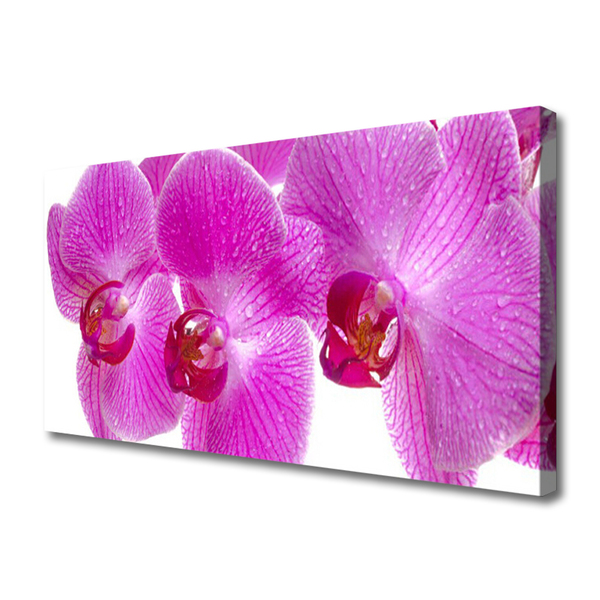 Canvas bild Blommor Växtnatur