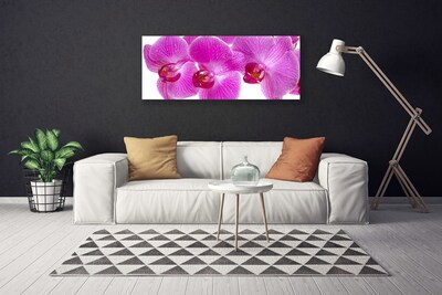 Canvas bild Blommor Växtnatur