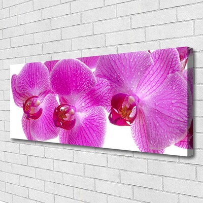 Canvas bild Blommor Växtnatur