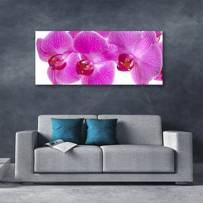 Canvas bild Blommor Växtnatur