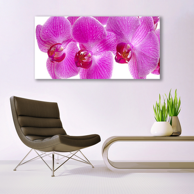 Canvas bild Blommor Växtnatur