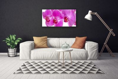 Canvas bild Blommor Växtnatur