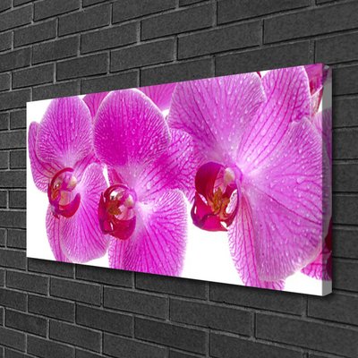 Canvas bild Blommor Växtnatur