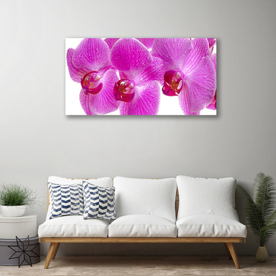 Canvas bild Blommor Växtnatur