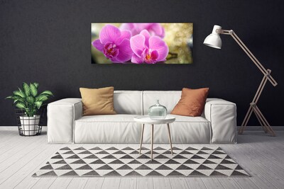 Bild canvas Blommor Växtnatur