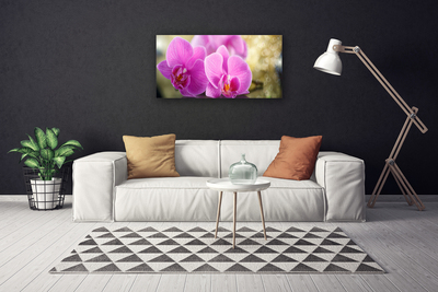 Bild canvas Blommor Växtnatur