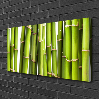 Bild på duk Bambu Plant Nature