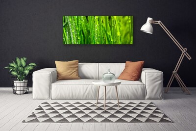 Bild canvas Gräs Växt Natur