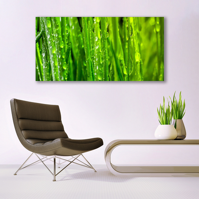 Bild canvas Gräs Växt Natur