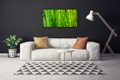 Bild canvas Gräs Växt Natur