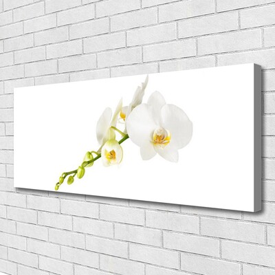 Canvas bild Blommor Växtnatur