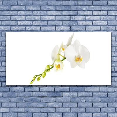 Canvas bild Blommor Växtnatur