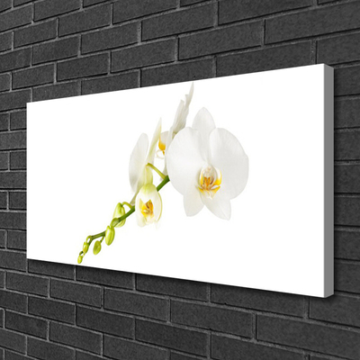 Canvas bild Blommor Växtnatur