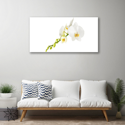 Canvas bild Blommor Växtnatur