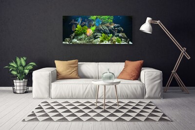 Canvas bild Fiskakvarium Natur