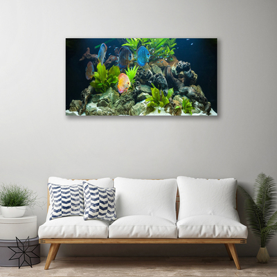 Canvas bild Fiskakvarium Natur