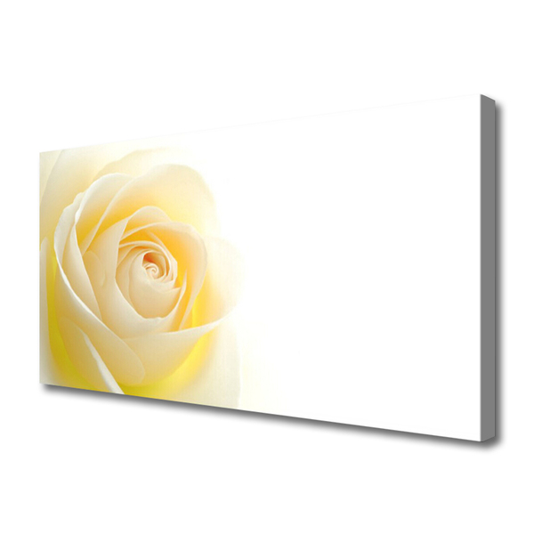 Canvas bild Rose Flower Plant Nature