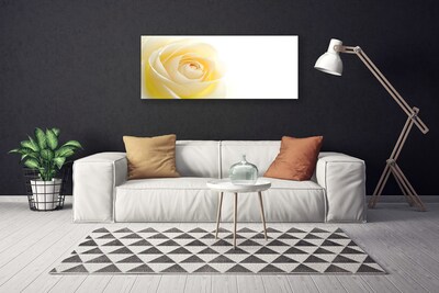 Canvas bild Rose Flower Plant Nature