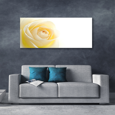 Canvas bild Rose Flower Plant Nature