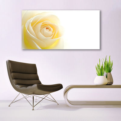 Canvas bild Rose Flower Plant Nature