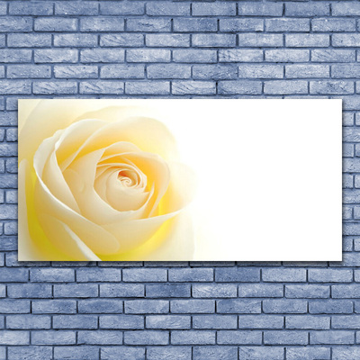 Canvas bild Rose Flower Plant Nature