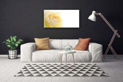 Canvas bild Rose Flower Plant Nature