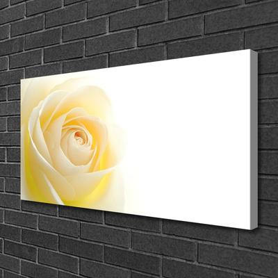 Canvas bild Rose Flower Plant Nature