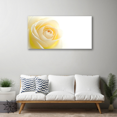 Canvas bild Rose Flower Plant Nature