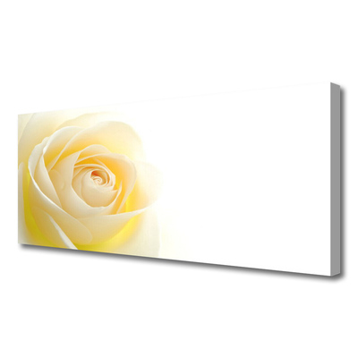 Canvas bild Rose Flower Plant Nature