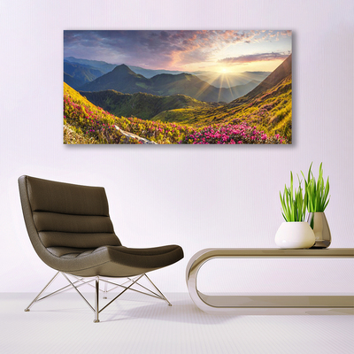 Bild på canvas Mountain Meadow Sun Landskap