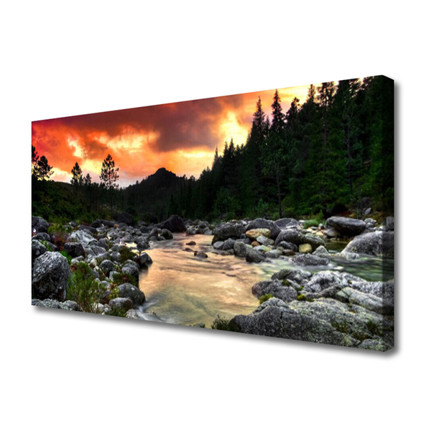 Bild canvas Lake River Forest Nature