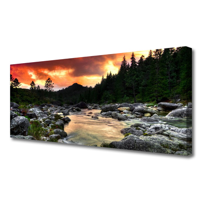 Bild canvas Lake River Forest Nature