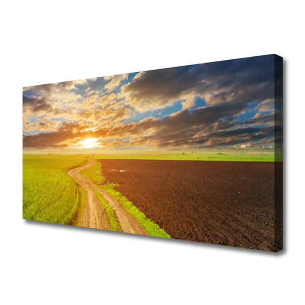 Bild canvas Fält Himmel Sun Natur