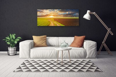 Bild canvas Fält Himmel Sun Natur