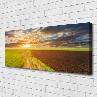 Bild canvas Fält Himmel Sun Natur