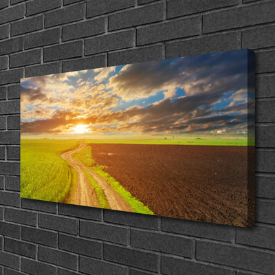 Bild canvas Fält Himmel Sun Natur