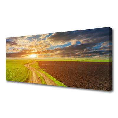 Bild canvas Fält Himmel Sun Natur