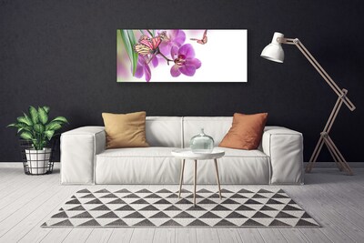 Canvas bild Fjärilar Blommor Naturen