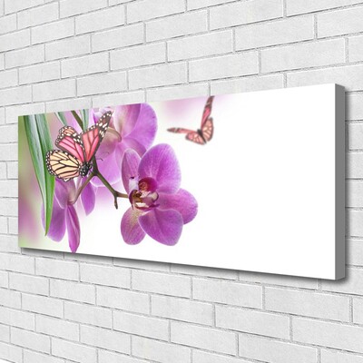 Canvas bild Fjärilar Blommor Naturen