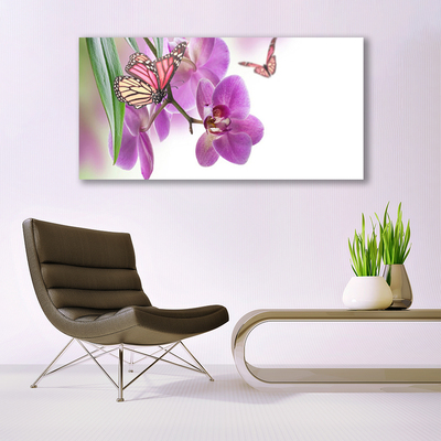 Canvas bild Fjärilar Blommor Naturen