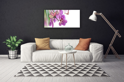 Canvas bild Fjärilar Blommor Naturen