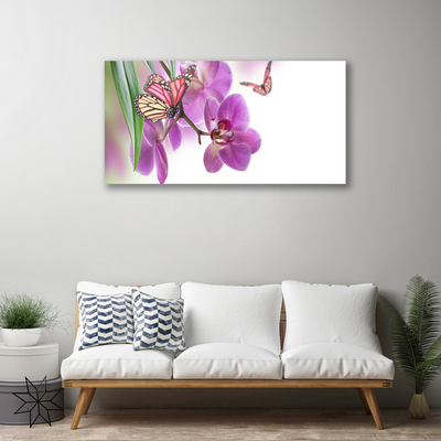 Canvas bild Fjärilar Blommor Naturen