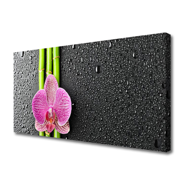 Canvas bild Bambu Blomma Växt Natur